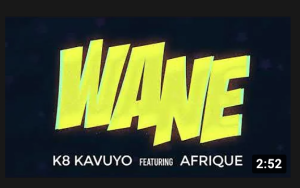 WANE - K8 Kavuyo Ft Afrique 