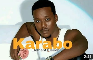 Element Eleéeh - Karabo